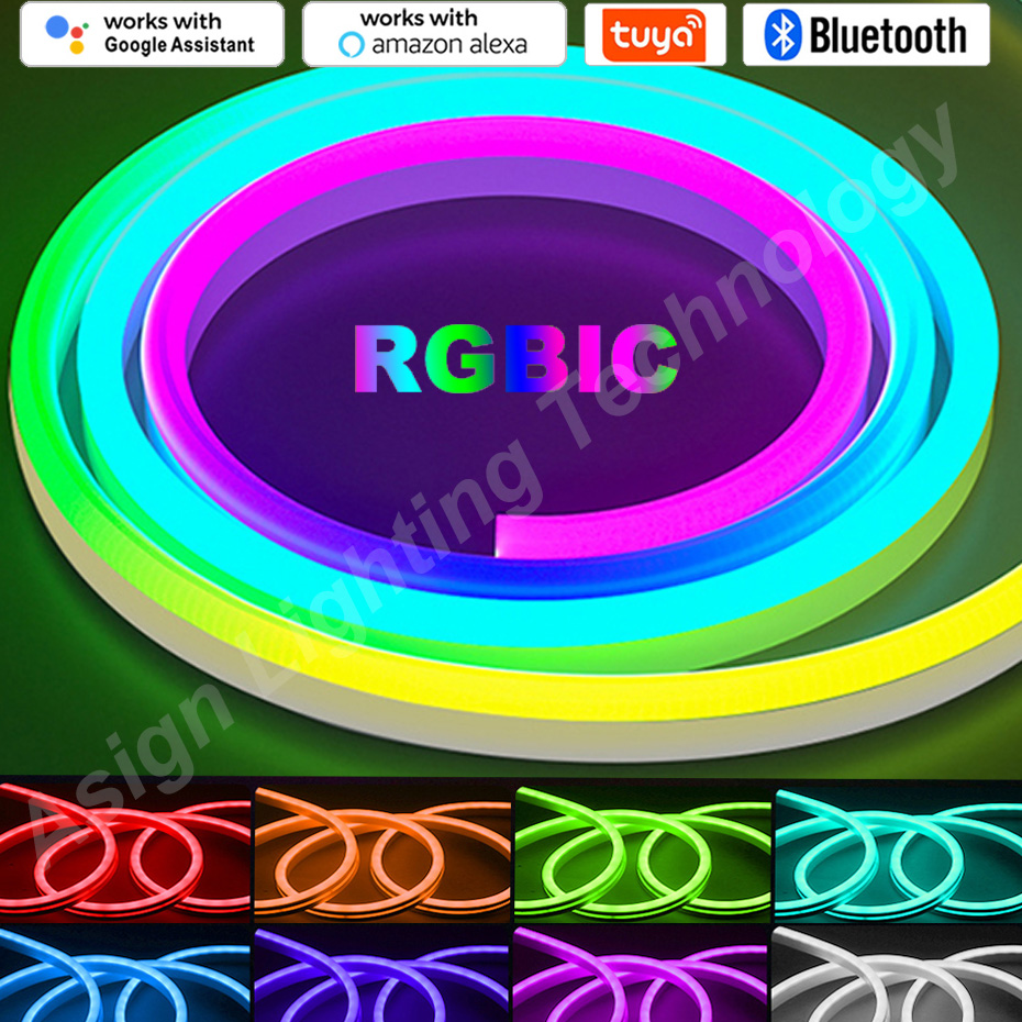 RGBIC LED نيون قطاع 12 فولت 96 - مراجعة App Smart Garden وسعره